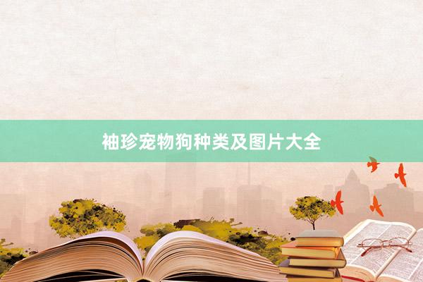 袖珍宠物狗种类及图片大全